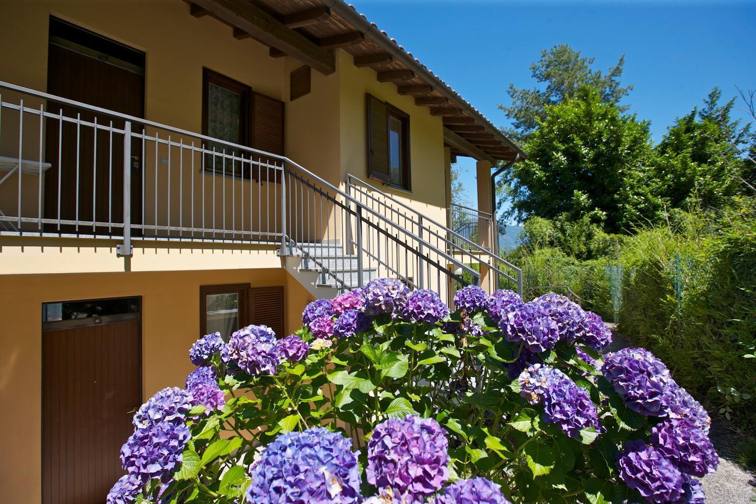Residenz La Fonte Studios Pino Lago Maggiore Exterior foto